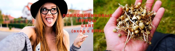 метадон Заволжск