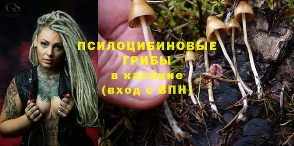 метадон Заволжск