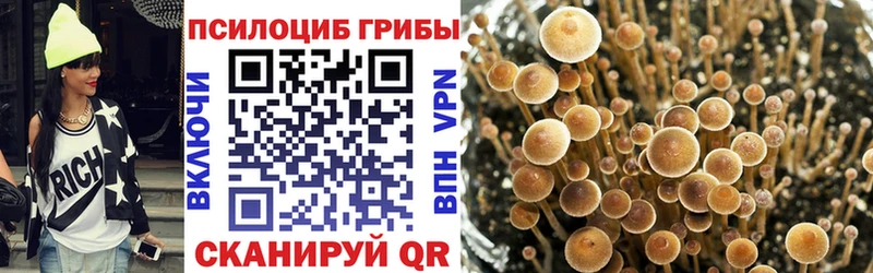 Галлюциногенные грибы прущие грибы  Купить закладки  Новопавловск 